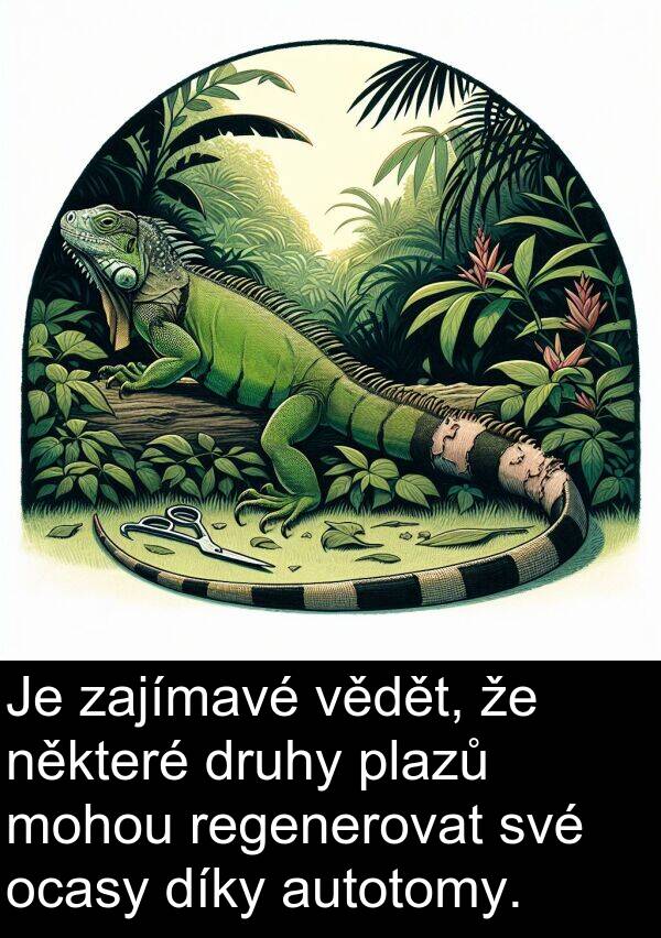 autotomy: Je zajímavé vědět, že některé druhy plazů mohou regenerovat své ocasy díky autotomy.