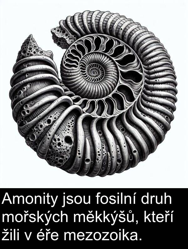 éře: Amonity jsou fosilní druh mořských měkkýšů, kteří žili v éře mezozoika.