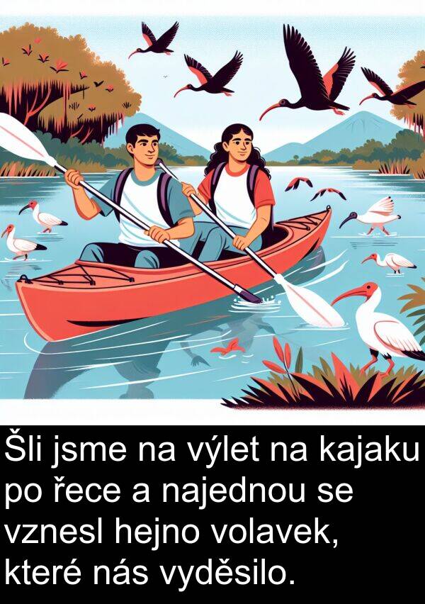 kajaku: Šli jsme na výlet na kajaku po řece a najednou se vznesl hejno volavek, které nás vyděsilo.