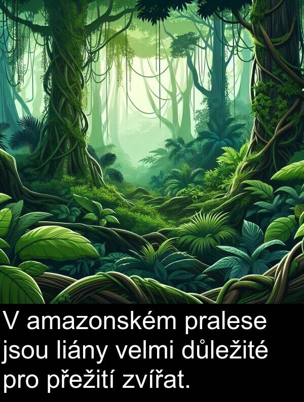 amazonském: V amazonském pralese jsou liány velmi důležité pro přežití zvířat.