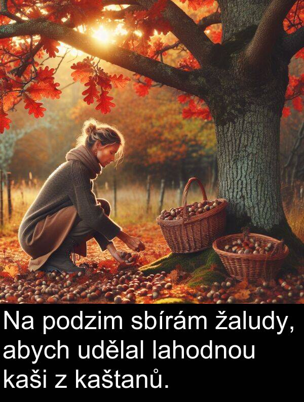 udělal: Na podzim sbírám žaludy, abych udělal lahodnou kaši z kaštanů.