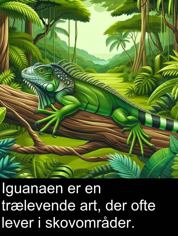 ofte: Iguanaen er en trælevende art, der ofte lever i skovområder.