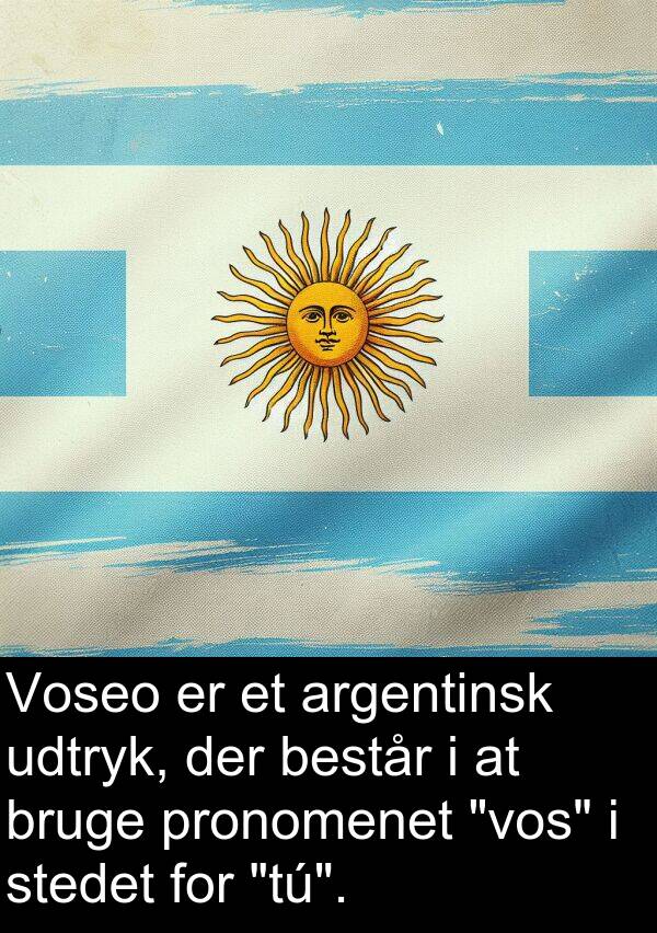 udtryk: Voseo er et argentinsk udtryk, der består i at bruge pronomenet "vos" i stedet for "tú".