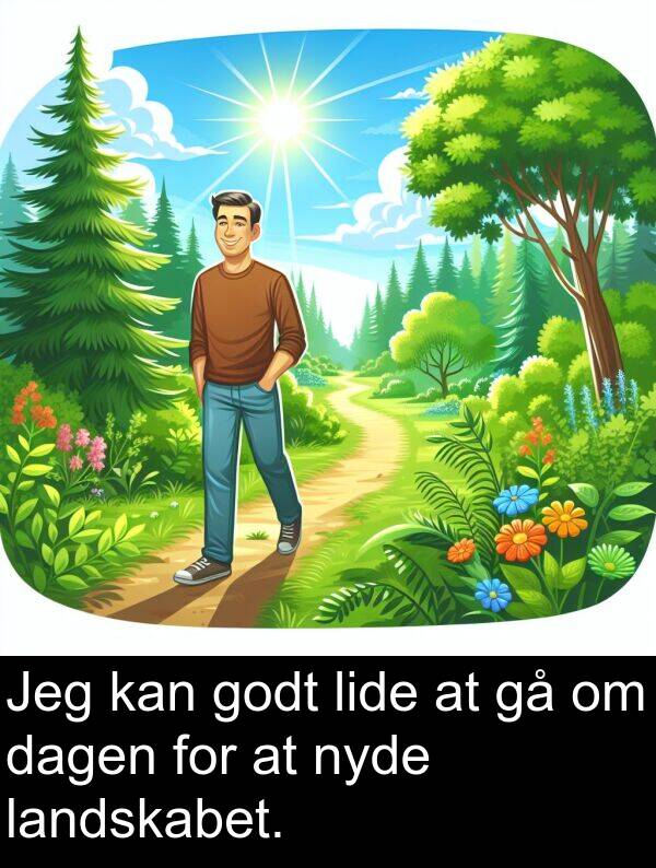 godt: Jeg kan godt lide at gå om dagen for at nyde landskabet.