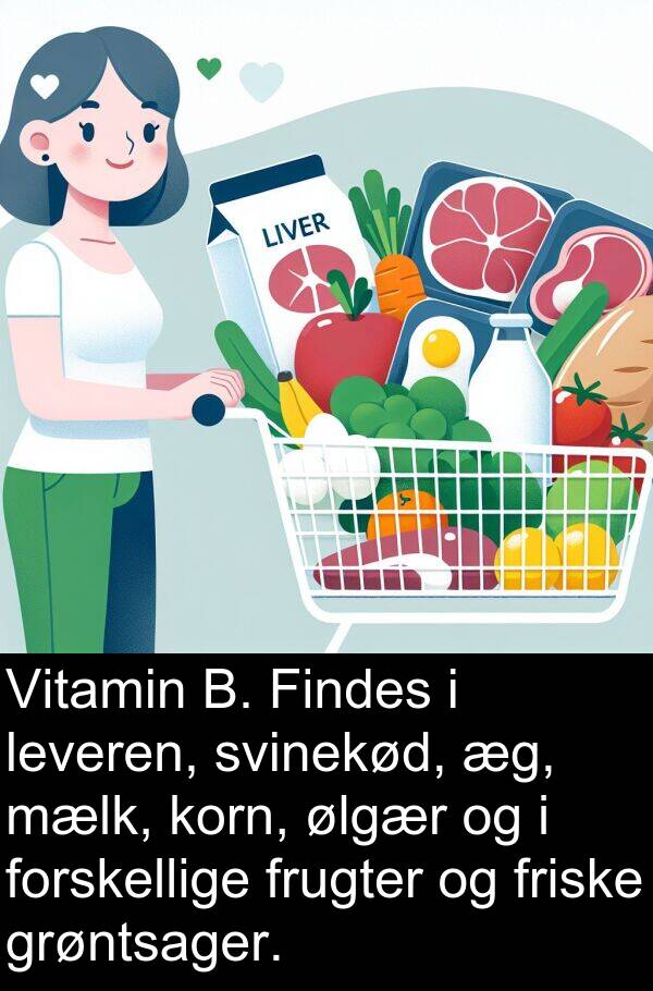 korn: Vitamin B. Findes i leveren, svinekød, æg, mælk, korn, ølgær og i forskellige frugter og friske grøntsager.