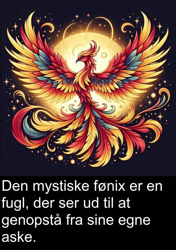 mystiske: Den mystiske fønix er en fugl, der ser ud til at genopstå fra sine egne aske.