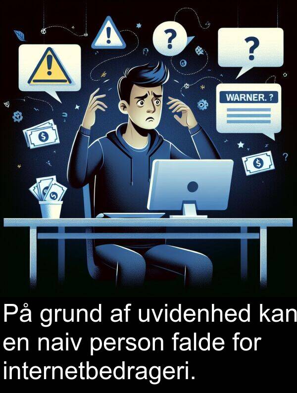 grund: På grund af uvidenhed kan en naiv person falde for internetbedrageri.