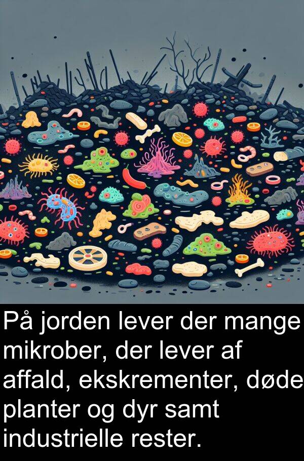 jorden: På jorden lever der mange mikrober, der lever af affald, ekskrementer, døde planter og dyr samt industrielle rester.