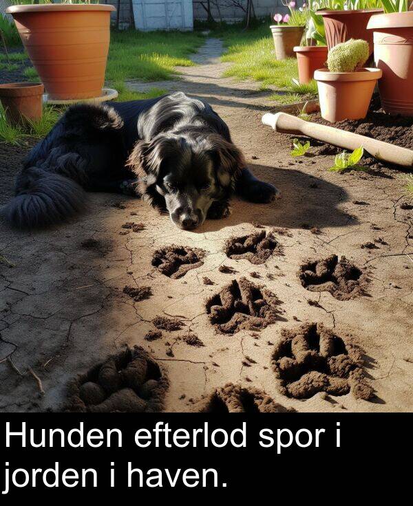 jorden: Hunden efterlod spor i jorden i haven.