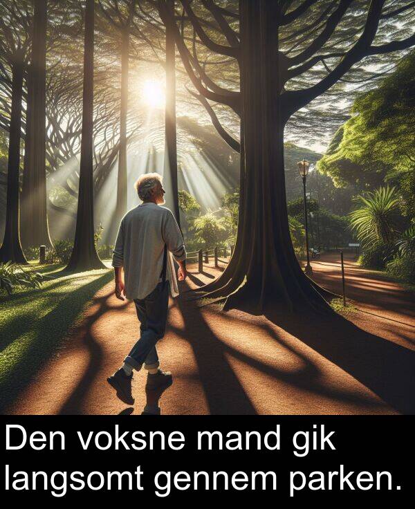 voksne: Den voksne mand gik langsomt gennem parken.