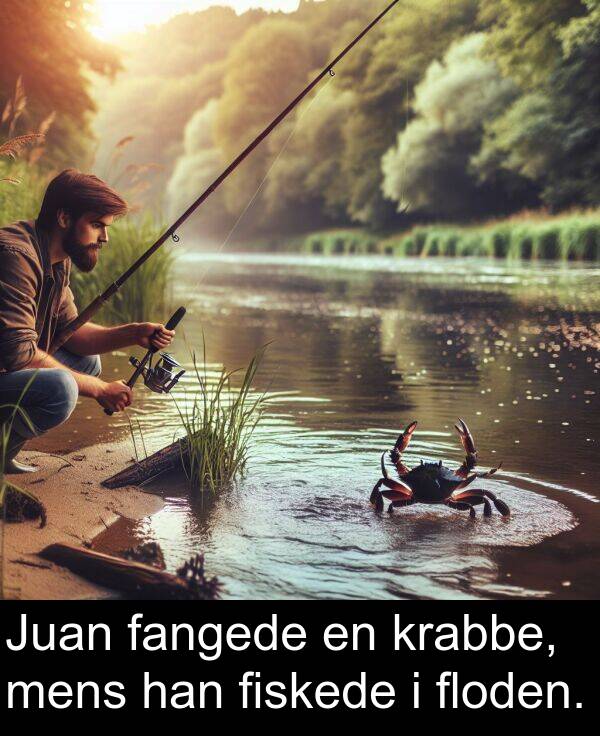 krabbe: Juan fangede en krabbe, mens han fiskede i floden.