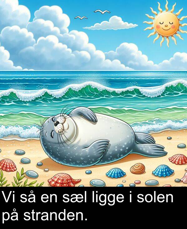 stranden: Vi så en sæl ligge i solen på stranden.