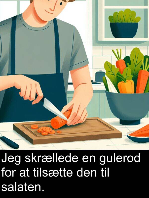 gulerod: Jeg skrællede en gulerod for at tilsætte den til salaten.