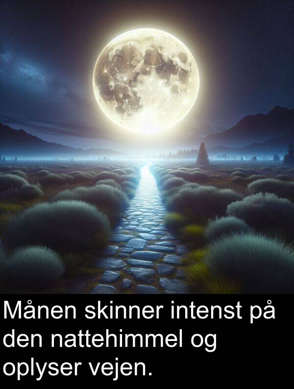 vejen: Månen skinner intenst på den nattehimmel og oplyser vejen.