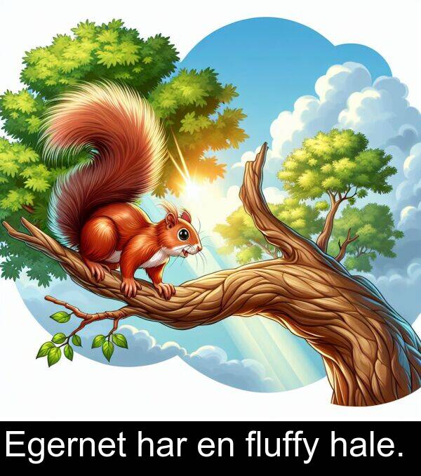 har: Egernet har en fluffy hale.