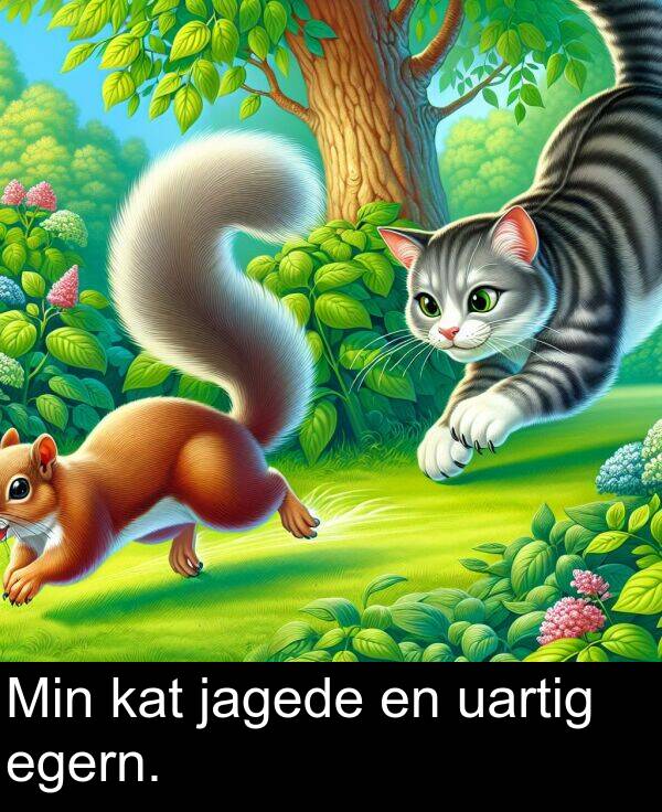 kat: Min kat jagede en uartig egern.