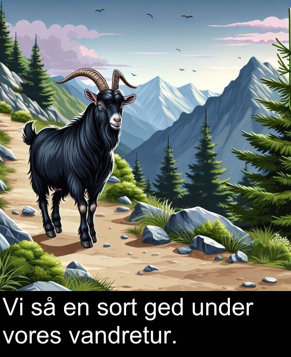 under: Vi så en sort ged under vores vandretur.
