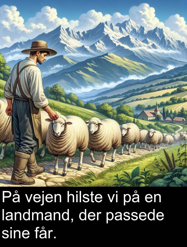 vejen: På vejen hilste vi på en landmand, der passede sine får.