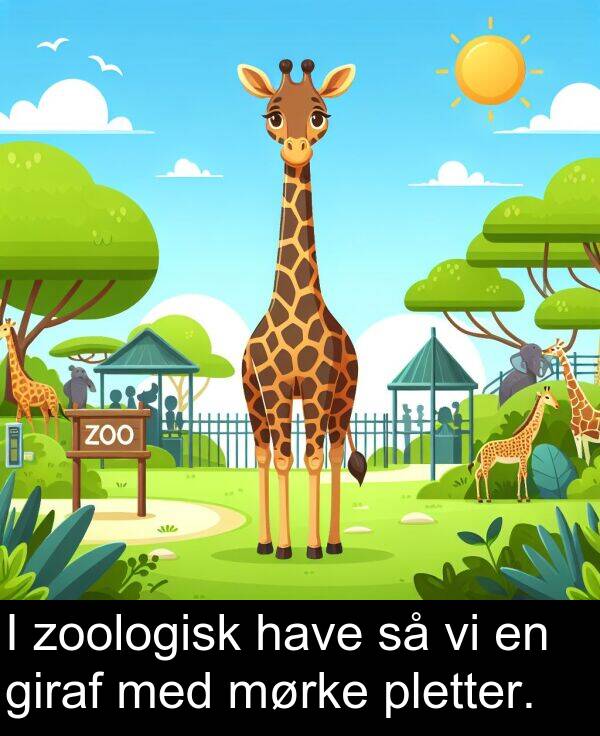mørke: I zoologisk have så vi en giraf med mørke pletter.