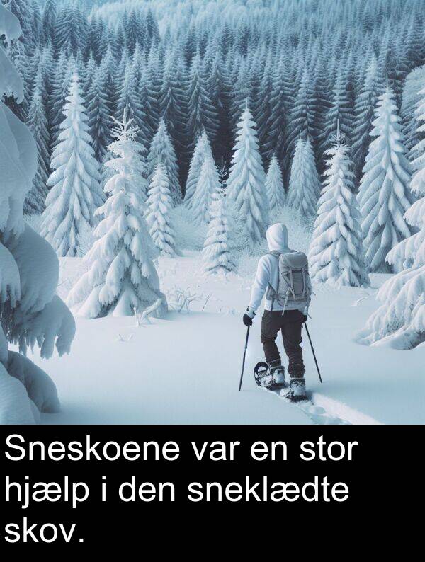 hjælp: Sneskoene var en stor hjælp i den sneklædte skov.
