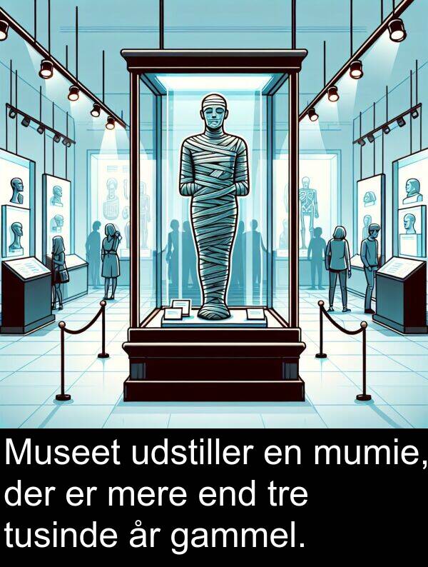 mumie: Museet udstiller en mumie, der er mere end tre tusinde år gammel.