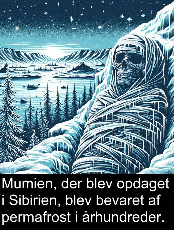 århundreder: Mumien, der blev opdaget i Sibirien, blev bevaret af permafrost i århundreder.