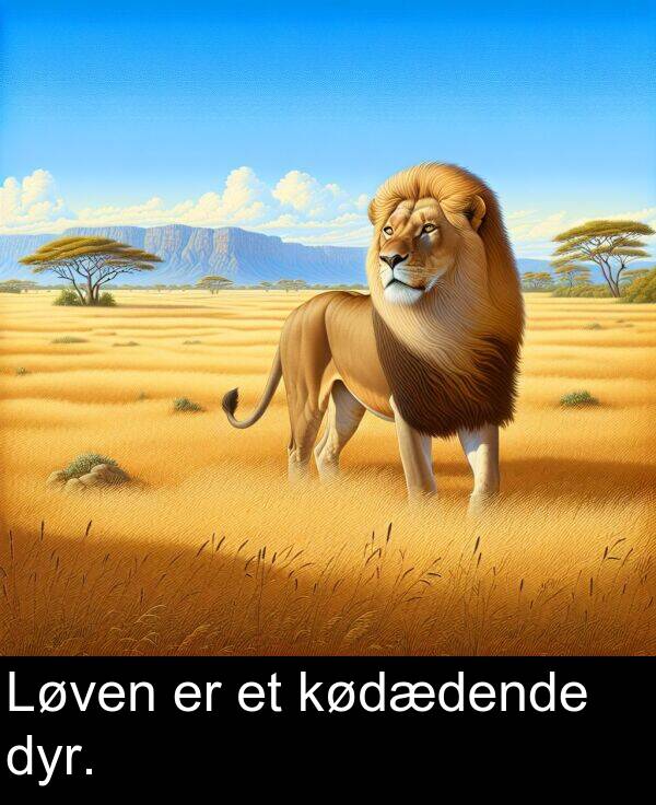 kødædende: Løven er et kødædende dyr.
