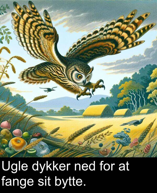 fange: Ugle dykker ned for at fange sit bytte.