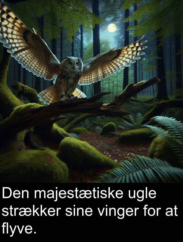 flyve: Den majestætiske ugle strækker sine vinger for at flyve.