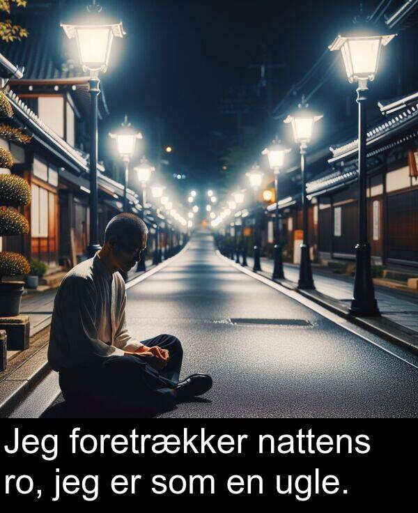 jeg: Jeg foretrækker nattens ro, jeg er som en ugle.