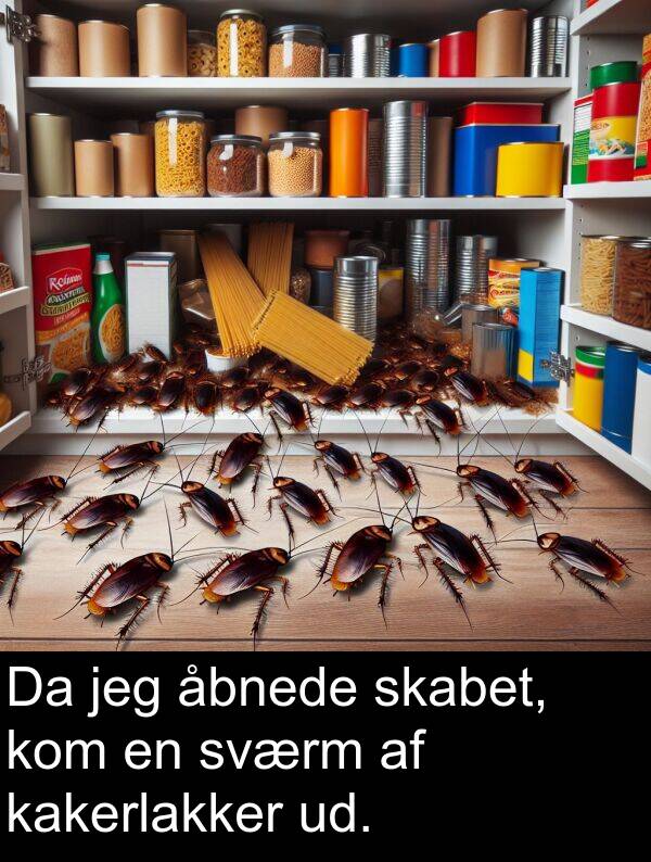 åbnede: Da jeg åbnede skabet, kom en sværm af kakerlakker ud.