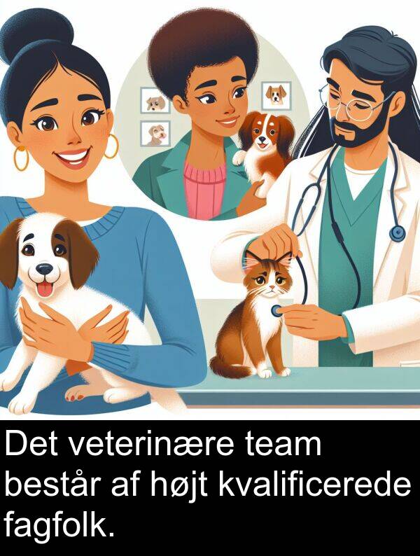 kvalificerede: Det veterinære team består af højt kvalificerede fagfolk.