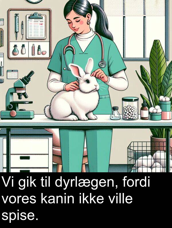 ville: Vi gik til dyrlægen, fordi vores kanin ikke ville spise.