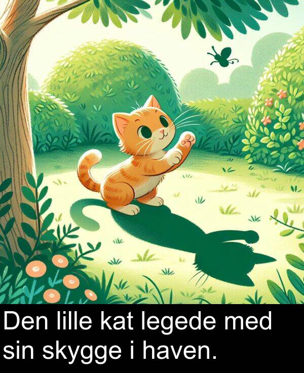 kat: Den lille kat legede med sin skygge i haven.