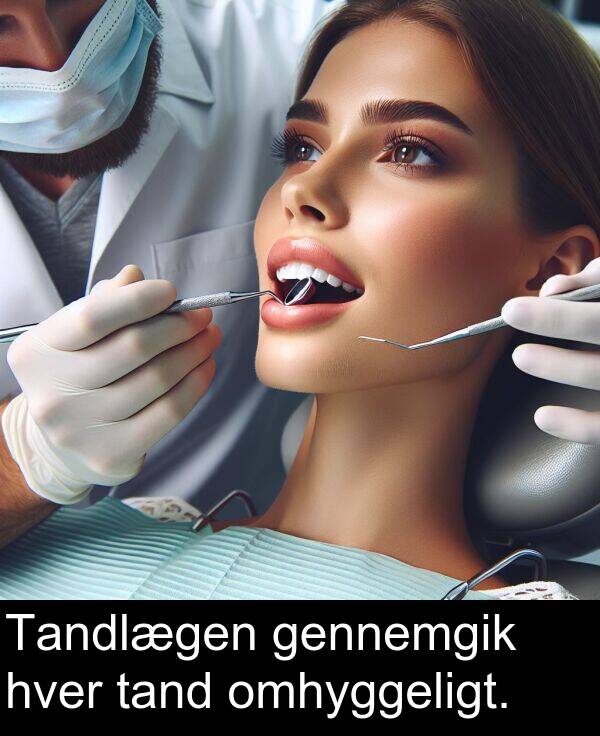 gennemgik: Tandlægen gennemgik hver tand omhyggeligt.