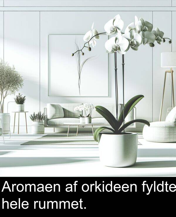 hele: Aromaen af orkideen fyldte hele rummet.