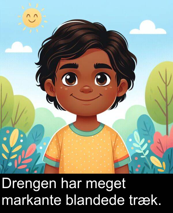 har: Drengen har meget markante blandede træk.
