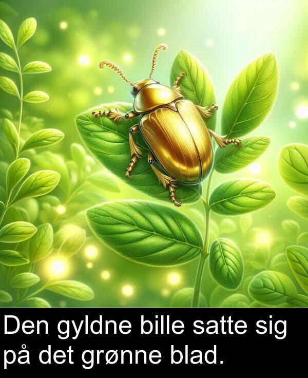 gyldne: Den gyldne bille satte sig på det grønne blad.