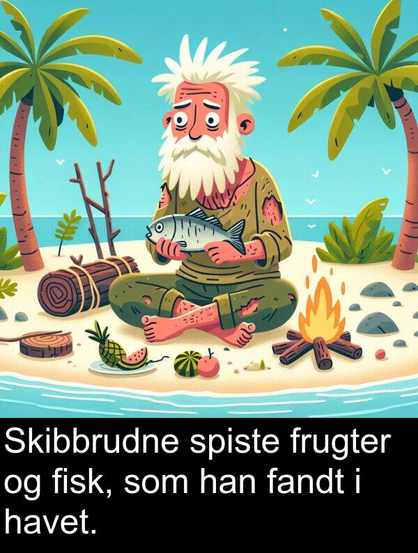 han: Skibbrudne spiste frugter og fisk, som han fandt i havet.