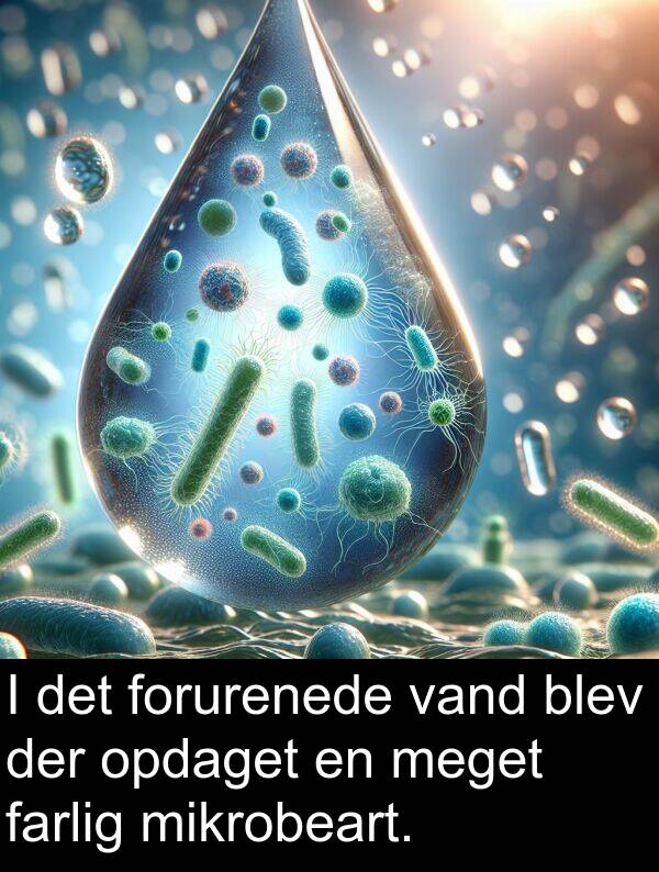vand: I det forurenede vand blev der opdaget en meget farlig mikrobeart.