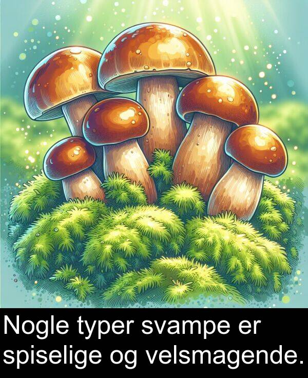 velsmagende: Nogle typer svampe er spiselige og velsmagende.