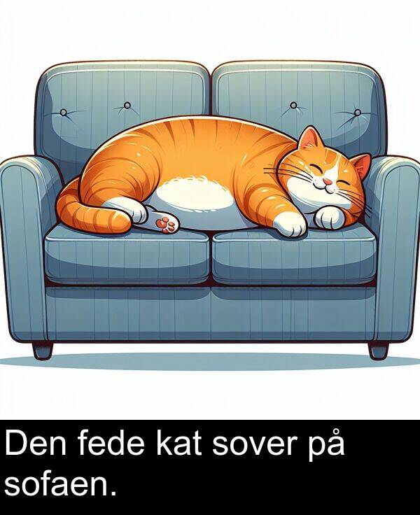 kat: Den fede kat sover på sofaen.