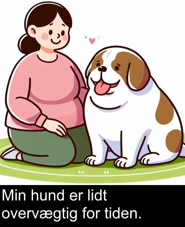 hund: Min hund er lidt overvægtig for tiden.