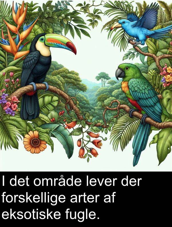 forskellige: I det område lever der forskellige arter af eksotiske fugle.
