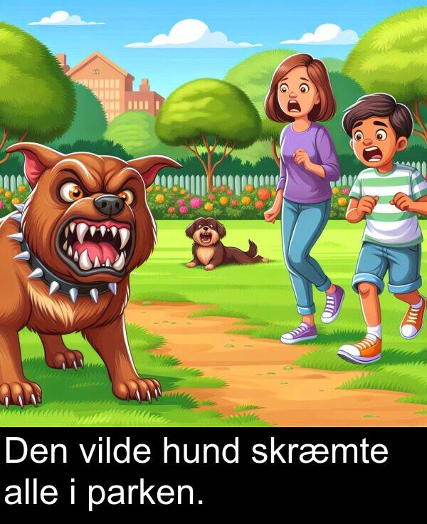 vilde: Den vilde hund skræmte alle i parken.