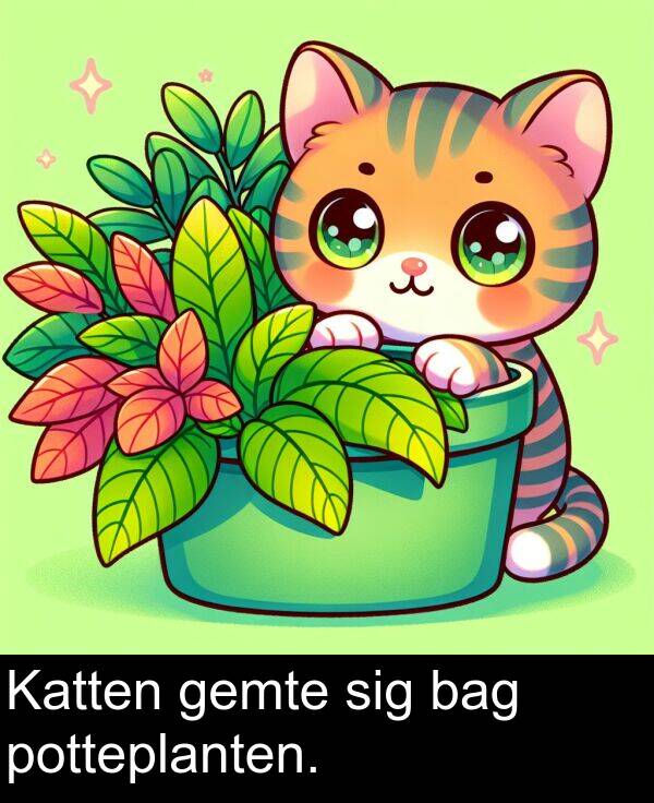 bag: Katten gemte sig bag potteplanten.