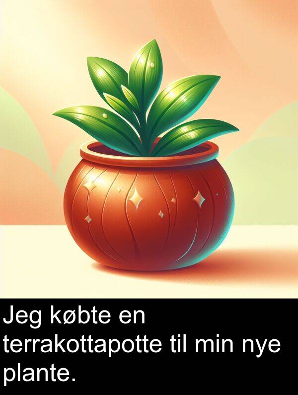 købte: Jeg købte en terrakottapotte til min nye plante.