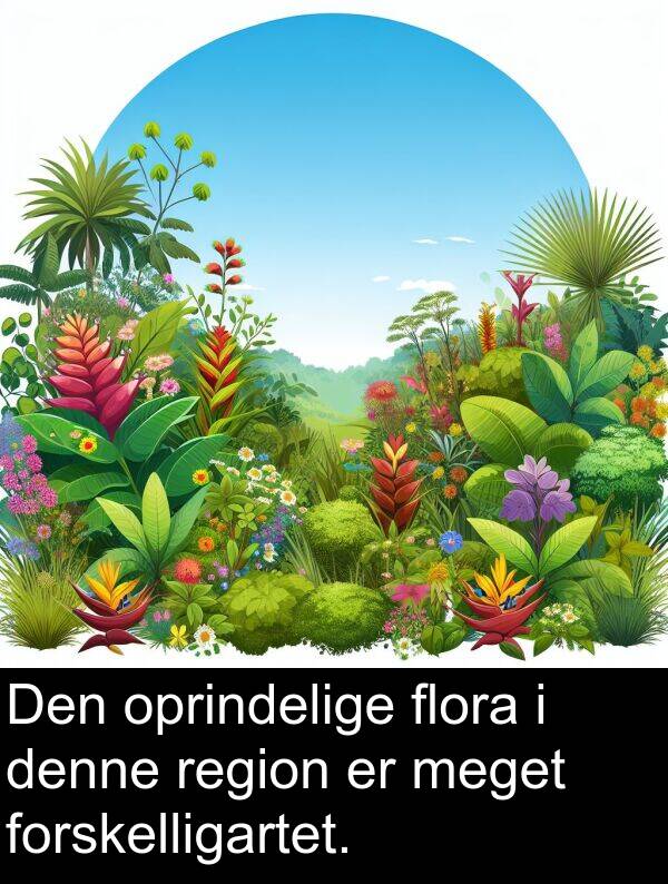 forskelligartet: Den oprindelige flora i denne region er meget forskelligartet.