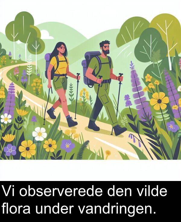 under: Vi observerede den vilde flora under vandringen.