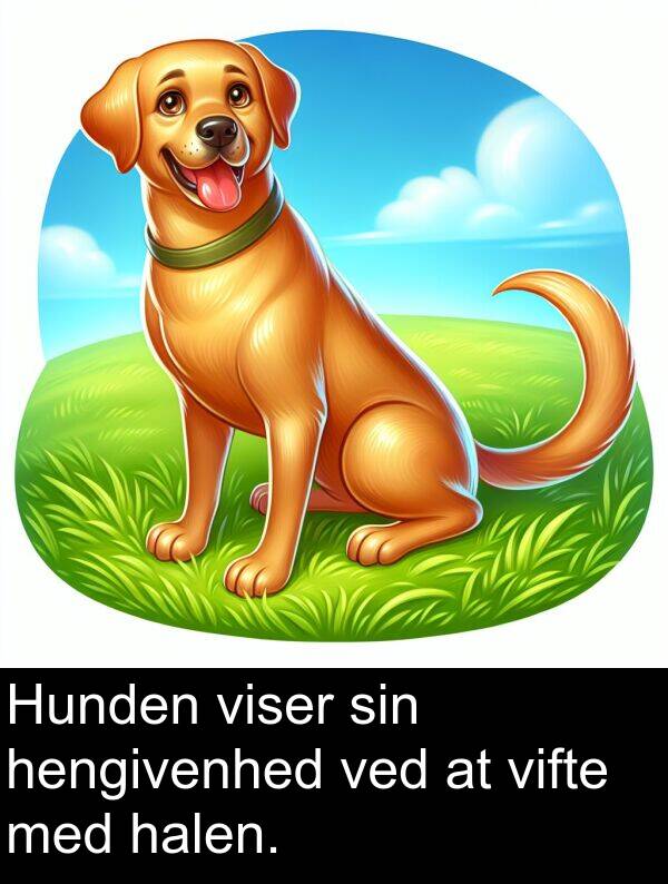vifte: Hunden viser sin hengivenhed ved at vifte med halen.